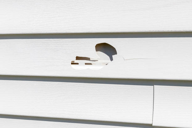 Best Siding Removal and Disposal  in Mars Hill, NC
