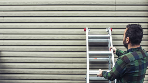 Best Stone Veneer Siding  in Mars Hill, NC