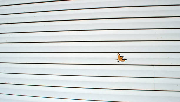 Best Stone Veneer Siding  in Mars Hill, NC
