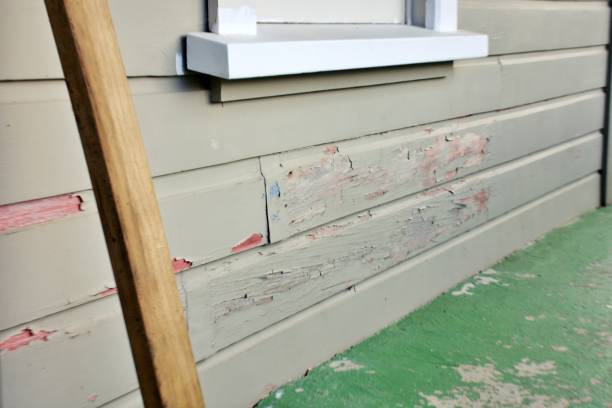 Best Historical Building Siding Restoration  in Mars Hill, NC