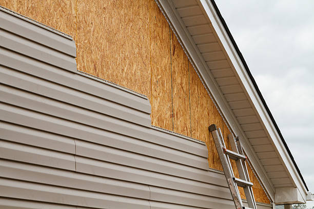 Best Steel Siding Installation  in Mars Hill, NC